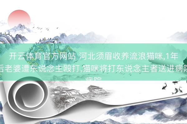 开云体育官方网站 河北须眉收养流浪猫咪,1年后老婆遭东说念主殴打,猫咪将打东说念主者送进病院