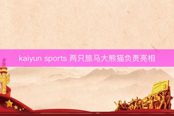kaiyun sports 两只旅马大熊猫负责亮相